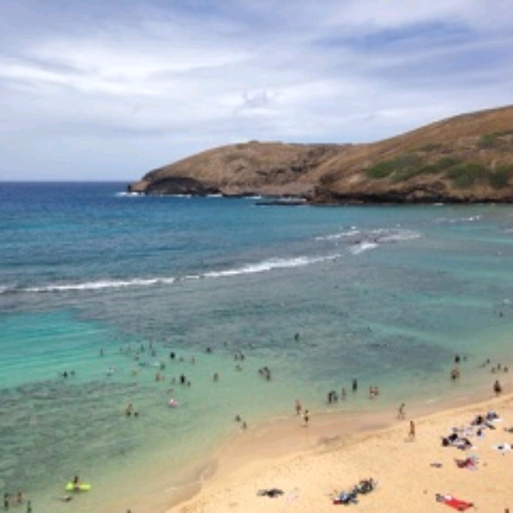 Meet your Posher, Gerry